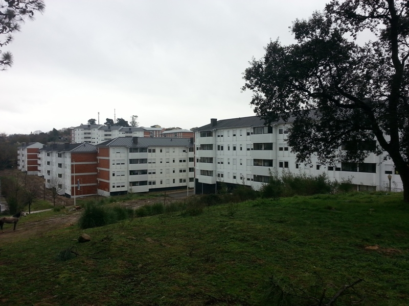 Câmara Municipal do Porto